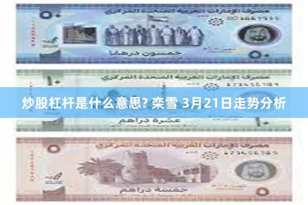 炒股杠杆是什么意思? 栾雪 3月21日走势分析