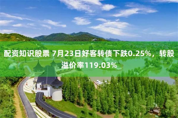 配资知识股票 7月23日好客转债下跌0.25%，转股溢价率119.03%