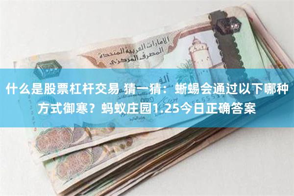 什么是股票杠杆交易 猜一猜：蜥蜴会通过以下哪种方式御寒？蚂蚁庄园1.25今日正确答案
