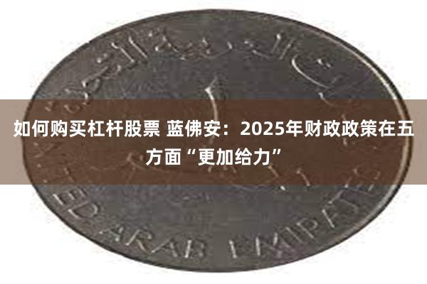 如何购买杠杆股票 蓝佛安：2025年财政政策在五方面“更加给力”