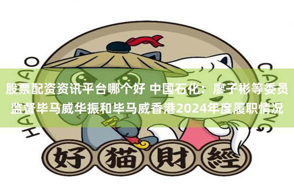 股票配资资讯平台哪个好 中国石化：廖子彬等委员监督毕马威华振和毕马威香港2024年度履职情况