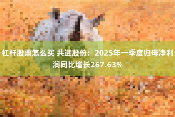 杠杆股票怎么买 共进股份：2025年一季度归母净利润同比增长267.63%