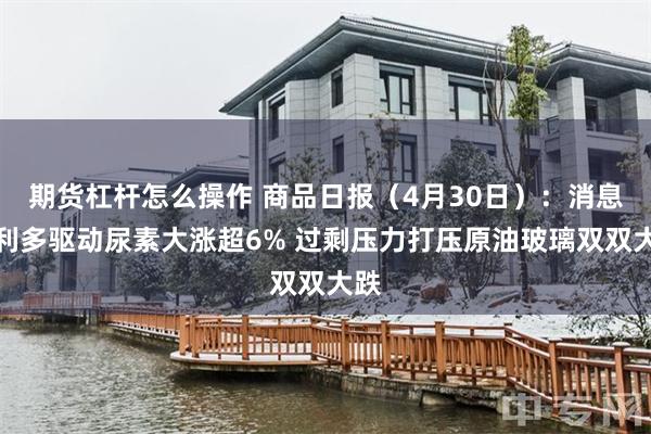 期货杠杆怎么操作 商品日报（4月30日）：消息面利多驱动尿素大涨超6% 过剩压力打压原油玻璃双双大跌
