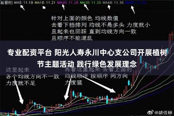 专业配资平台 阳光人寿永川中心支公司开展植树节主题活动 践行绿色发展理念