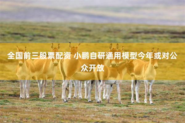 全国前三股票配资 小鹏自研通用模型今年或对公众开放