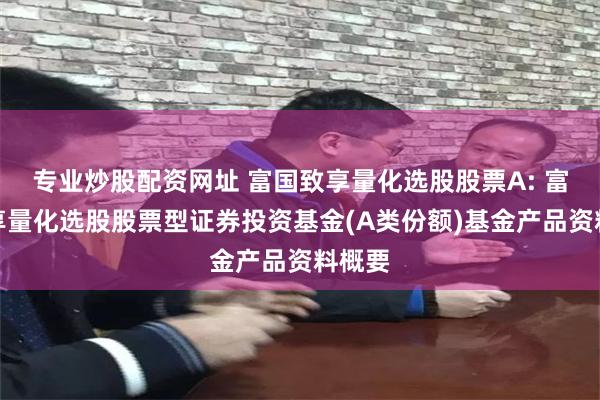 专业炒股配资网址 富国致享量化选股股票A: 富国致享量化选股股票型证券投资基金(A类份额)基金产品资料概要