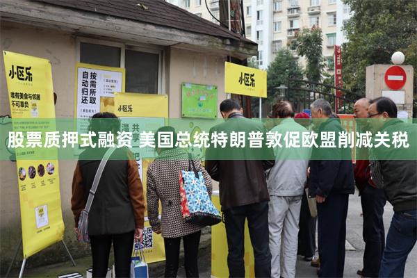 股票质押式融资 美国总统特朗普敦促欧盟削减关税
