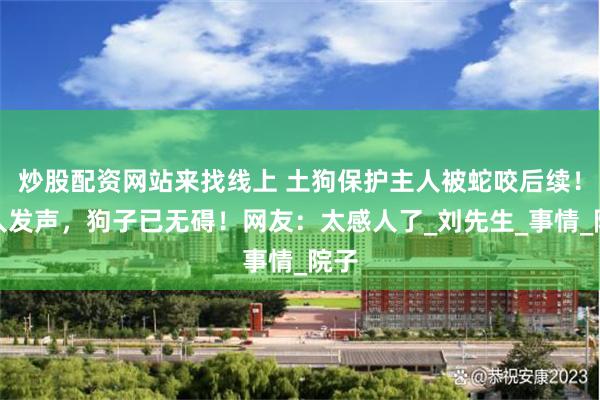 炒股配资网站来找线上 土狗保护主人被蛇咬后续！主人发声，狗子已无碍！网友：太感人了_刘先生_事情_院子