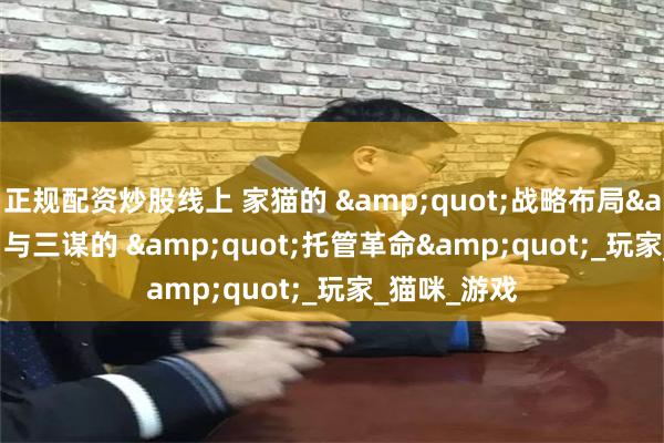 正规配资炒股线上 家猫的 &quot;战略布局&quot; 与三谋的 &quot;托管革命&quot;_玩家_猫咪_游戏