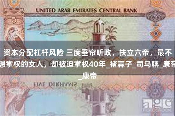 资本分配杠杆风险 三度垂帘听政，扶立六帝，最不想掌权的女人，却被迫掌权40年_褚蒜子_司马聃_康帝