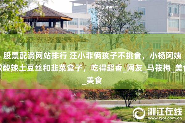 股票配资网站排行 汪小菲俩孩子不挑食，小杨阿姨做酸辣土豆丝和韭菜盒子，吃得超香_网友_马筱梅_美食