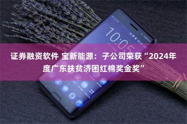 证券融资软件 宝新能源：子公司荣获“2024年度广东扶贫济困红棉奖金奖”
