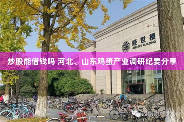 炒股能借钱吗 河北、山东鸡蛋产业调研纪要分享