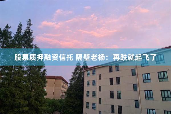 股票质押融资信托 隔壁老杨：再跌就起飞了