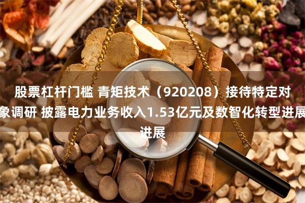 股票杠杆门槛 青矩技术（920208）接待特定对象调研 披露电力业务收入1.53亿元及数智化转型进展