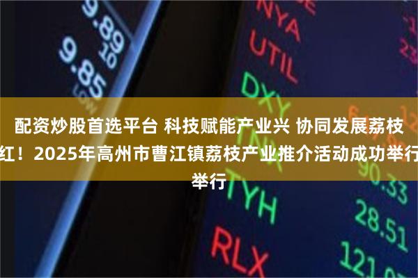 配资炒股首选平台 科技赋能产业兴 协同发展荔枝红！2025年高州市曹江镇荔枝产业推介活动成功举行