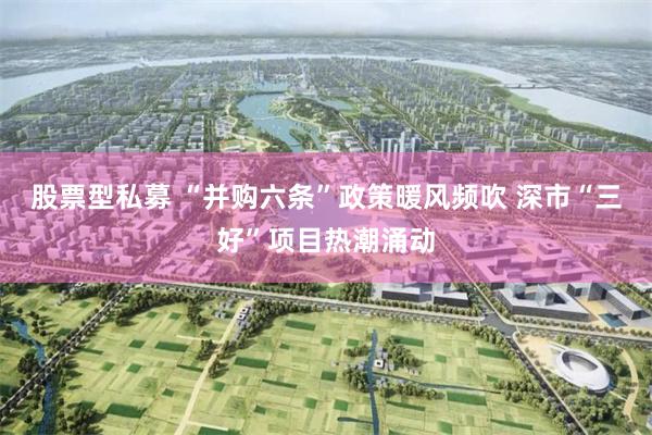 股票型私募 “并购六条”政策暖风频吹 深市“三好”项目热潮涌动