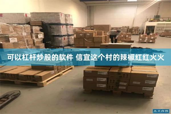 可以杠杆炒股的软件 信宜这个村的辣椒红红火火