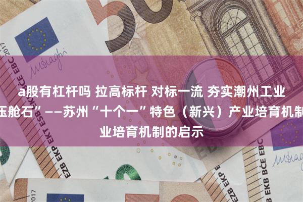 a股有杠杆吗 拉高标杆 对标一流 夯实潮州工业经济“压舱石”——苏州“十个一”特色（新兴）产业培育机制的启示