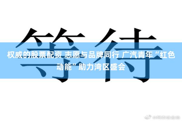 权威的股票配资 志愿与品牌同行 广汽青年“红色动能”助力湾区盛会