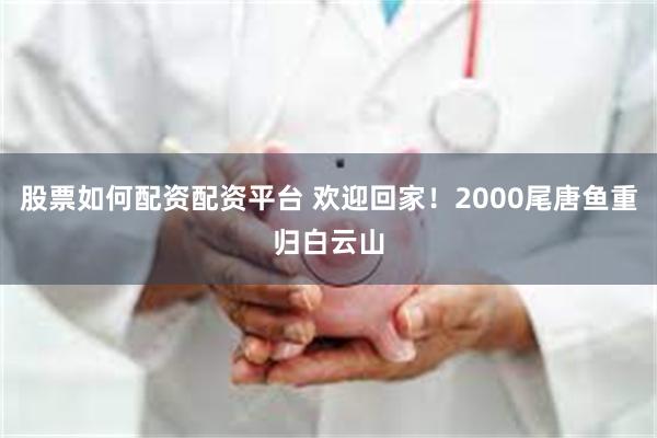 股票如何配资配资平台 欢迎回家！2000尾唐鱼重归白云山