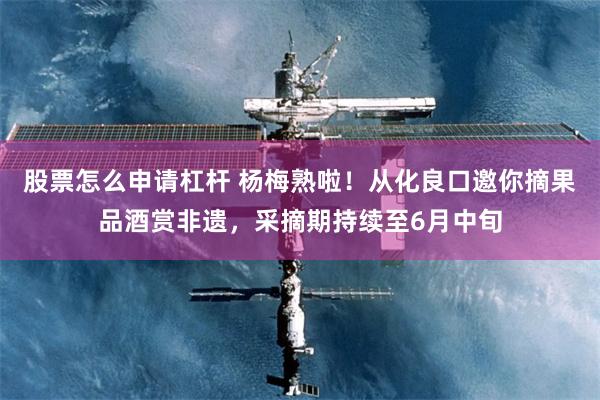 股票怎么申请杠杆 杨梅熟啦！从化良口邀你摘果品酒赏非遗，采摘期持续至6月中旬