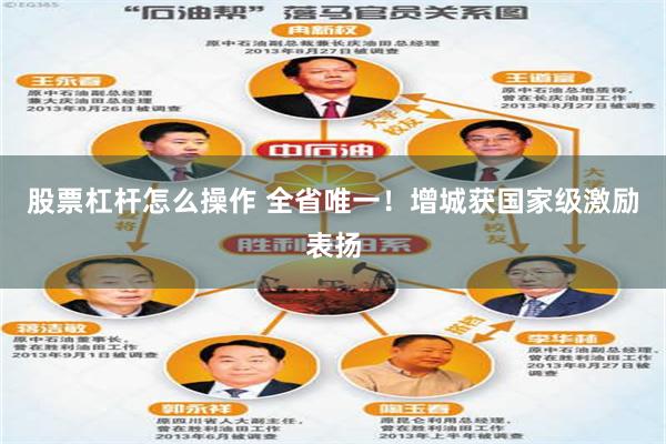 股票杠杆怎么操作 全省唯一！增城获国家级激励表扬