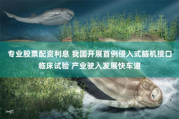 专业股票配资利息 我国开展首例侵入式脑机接口临床试验 产业驶入发展快车道