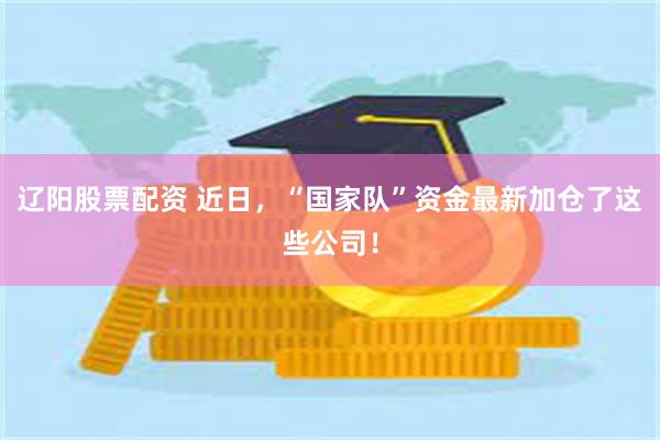 辽阳股票配资 近日，“国家队”资金最新加仓了这些公司！