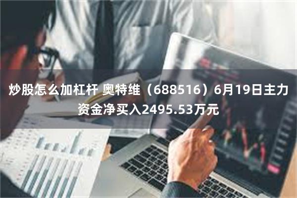 炒股怎么加杠杆 奥特维（688516）6月19日主力资金净买入2495.53万元