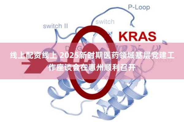 线上配资线上 2025新时期医药领域基层党建工作座谈会在惠州顺利召开
