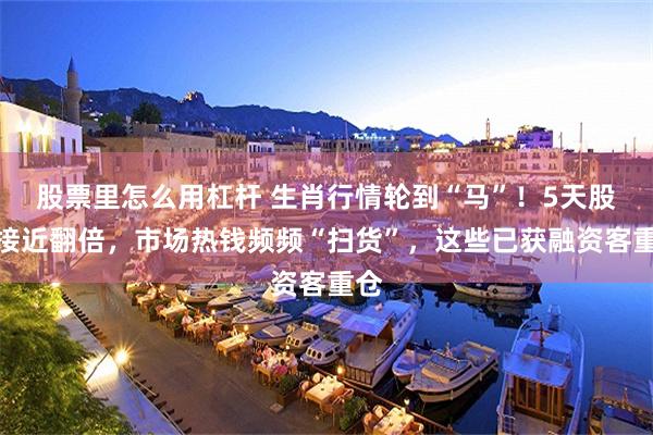股票里怎么用杠杆 生肖行情轮到“马”！5天股价接近翻倍，市场热钱频频“扫货”，这些已获融资客重仓