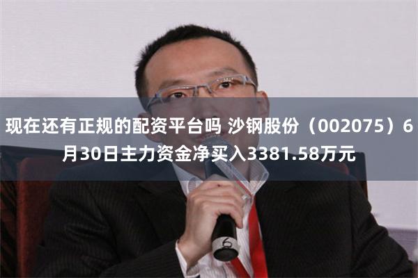 现在还有正规的配资平台吗 沙钢股份（002075）6月30日主力资金净买入3381.58万元