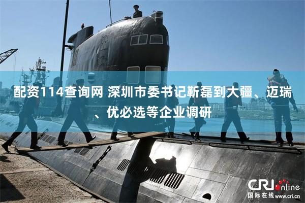 配资114查询网 深圳市委书记靳磊到大疆、迈瑞、优必选等企业调研