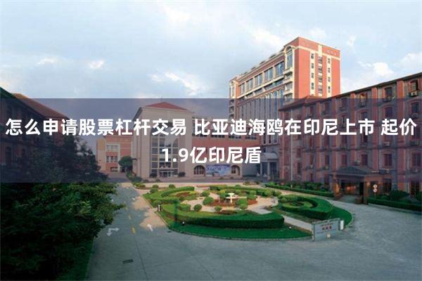 怎么申请股票杠杆交易 比亚迪海鸥在印尼上市 起价1.9亿印尼盾