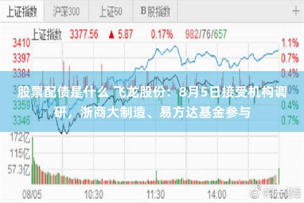 股票配债是什么 飞龙股份：8月5日接受机构调研，浙商大制造、易方达基金参与