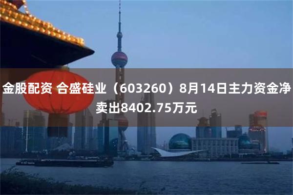 金股配资 合盛硅业（603260）8月14日主力资金净卖出8402.75万元