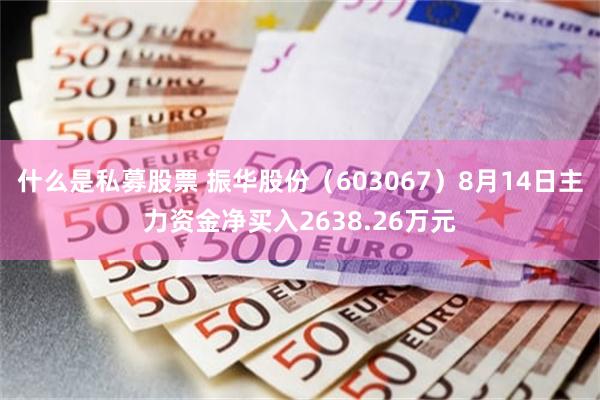 什么是私募股票 振华股份（603067）8月14日主力资金净买入2638.26万元