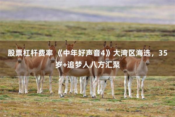 股票杠杆费率 《中年好声音4》大湾区海选，35岁+追梦人八方汇聚