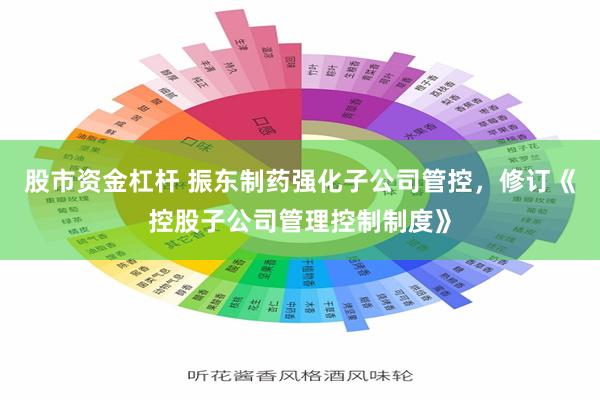 股市资金杠杆 振东制药强化子公司管控，修订《控股子公司管理控制制度》