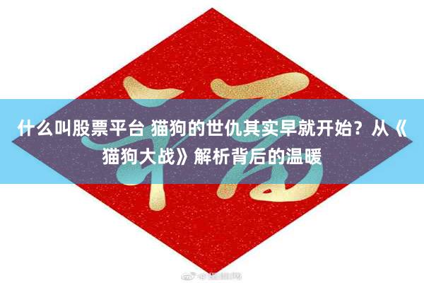 什么叫股票平台 猫狗的世仇其实早就开始？从《猫狗大战》解析背后的温暖