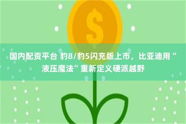 国内配资平台 豹8/豹5闪充版上市,比亚迪用“液压魔法”重新定义硬派越野
