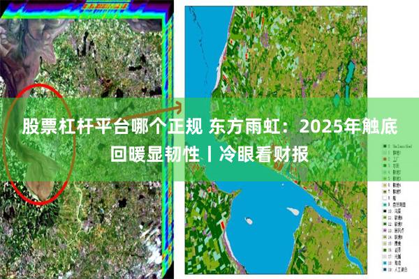 股票杠杆平台哪个正规 东方雨虹:2025年触底回暖显韧性丨冷眼看财报