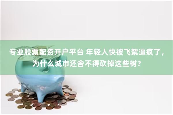 专业股票配资开户平台 年轻人快被飞絮逼疯了，为什么城市还舍不得砍掉这些树？