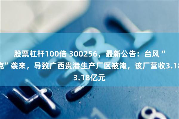 股票杠杆100倍 300256，最新公告：台风“美莎克”袭来，导致广西贵港生产厂区被淹，该厂营收3.18亿元