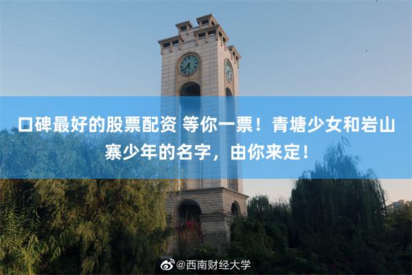 口碑最好的股票配资 等你一票！青塘少女和岩山寨少年的名字，由你来定！