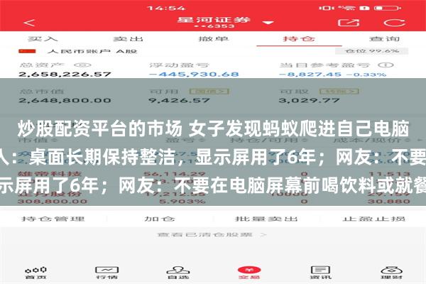 炒股配资平台的市场 女子发现蚂蚁爬进自己电脑显示屏“筑巢”,当事人:桌面长期保持整洁,显示屏用了6年;网友:不要在电脑屏幕前喝饮料或就餐