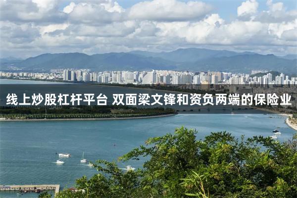 线上炒股杠杆平台 双面梁文锋和资负两端的保险业