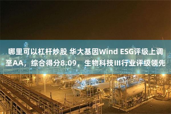 哪里可以杠杆炒股 华大基因Wind ESG评级上调至AA,综合得分8.09,生物科技Ⅲ行业评级领先