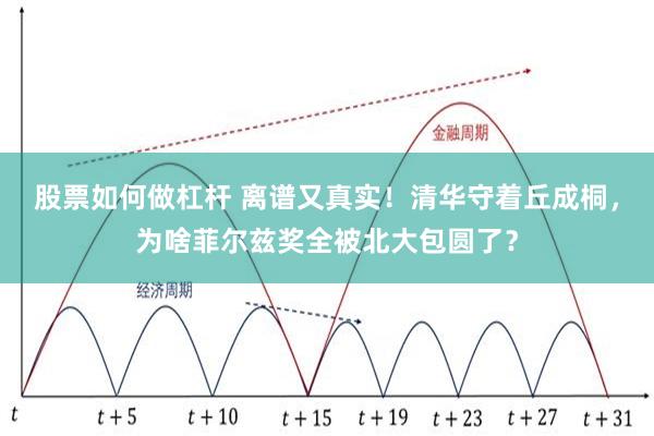 股票如何做杠杆 离谱又真实！清华守着丘成桐，为啥菲尔兹奖全被北大包圆了？
